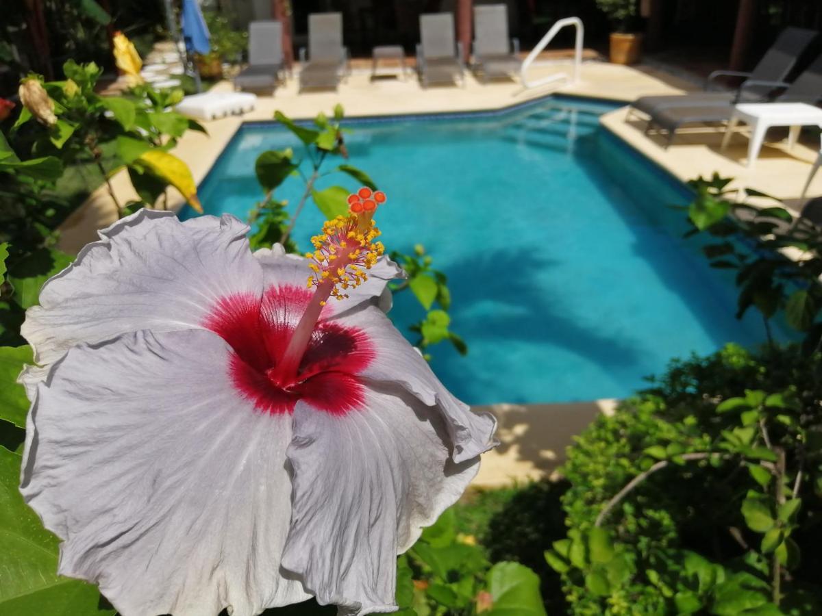 Villa Botero By Casa Mojito Santa Clara  Eksteriør bilde